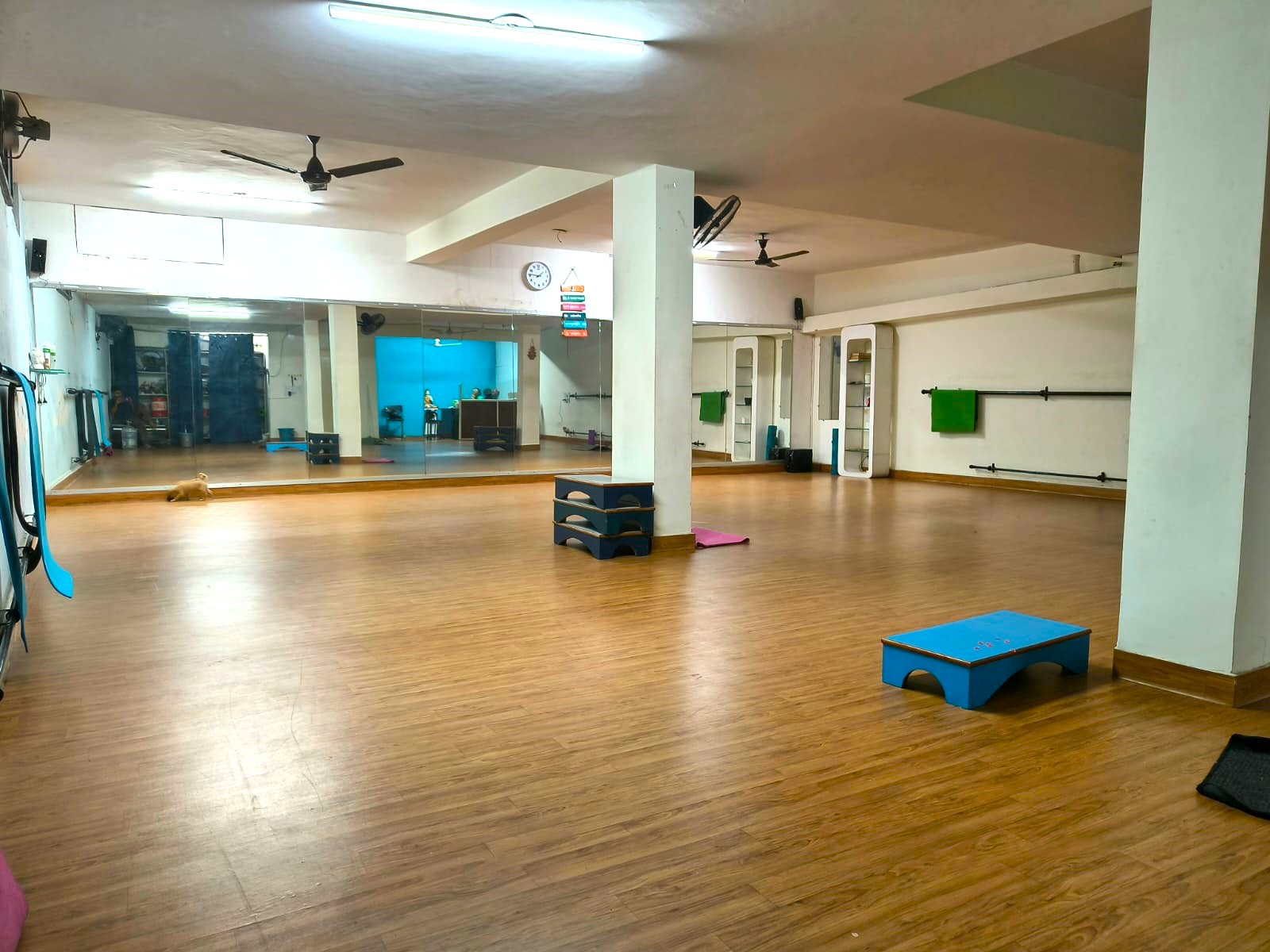 Small group yoga class at Intensive Yoga Studio